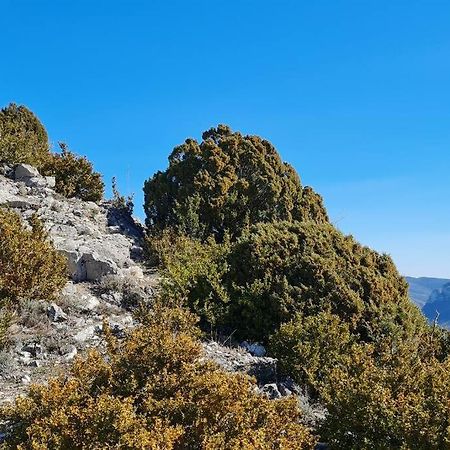 Appartement Rez-De-Jardin Jas Des Baronnies Curnier Exterior foto