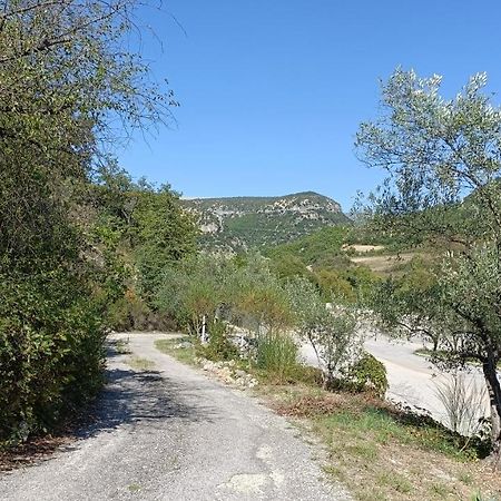 Appartement Rez-De-Jardin Jas Des Baronnies Curnier Exterior foto